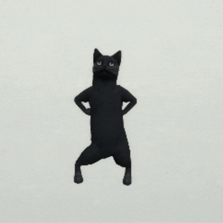 Catdance GIF
