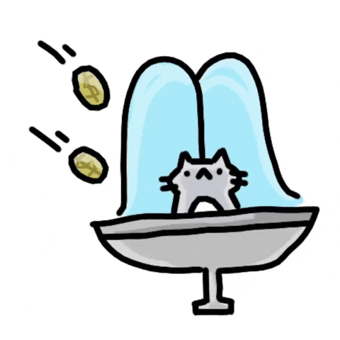 Make A Wish Cat GIF