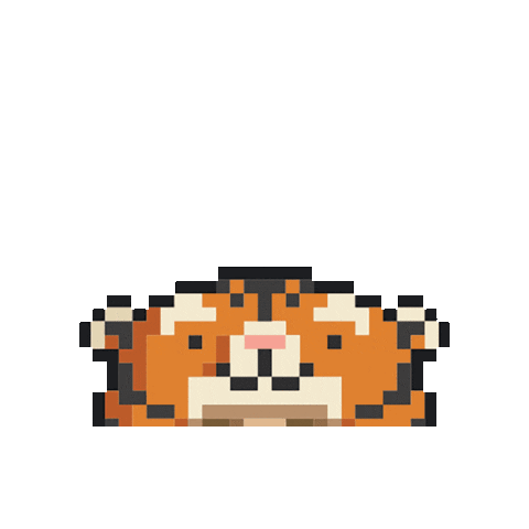 Tiger Costume Sticker by Leo