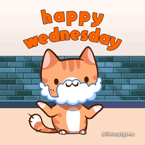 Wednesday Morning Cat GIF by Mino Games