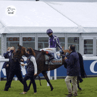 Horse Race Horses GIF by World Horse Racing