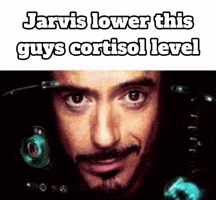 Tony Stark Jarvis GIF