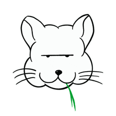 Chill Chinchilla Sticker