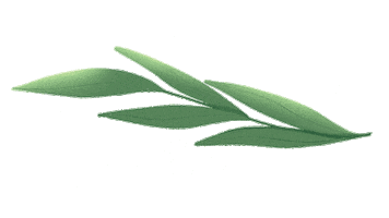 Taylor Swift Willow Sticker
