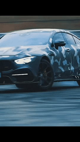 Rocky GIF