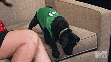 200.gif?cid=fc005b089d9b762e4e8f9e516ccb78bc8a94a5e72cd77d1c&rid=200.gif&ct=g