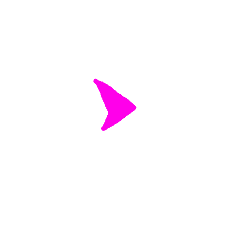Animated Sticker