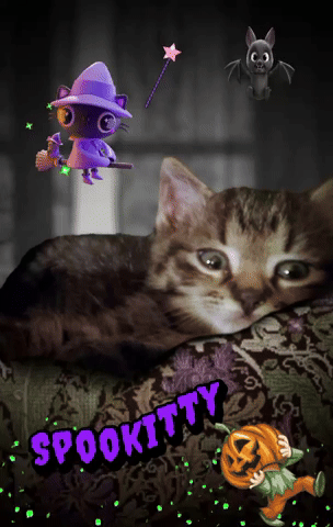 Spookitty GIF