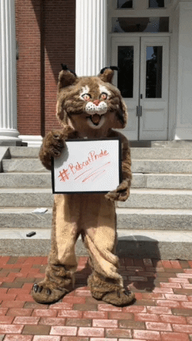 Bobcat Go Bobcats GIF by Bates College Alumni