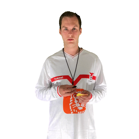 Vogels8 Vogelsacht Sticker by Valleivogels