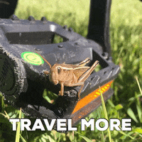 travel explore GIF by Cowboy Cricket Farms