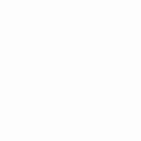 Vivamax GIF