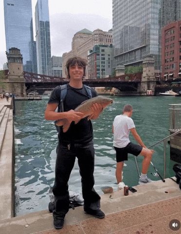 Seamus Oconnor GIF