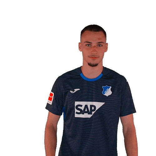 Sport Bundesliga Sticker by TSG Hoffenheim