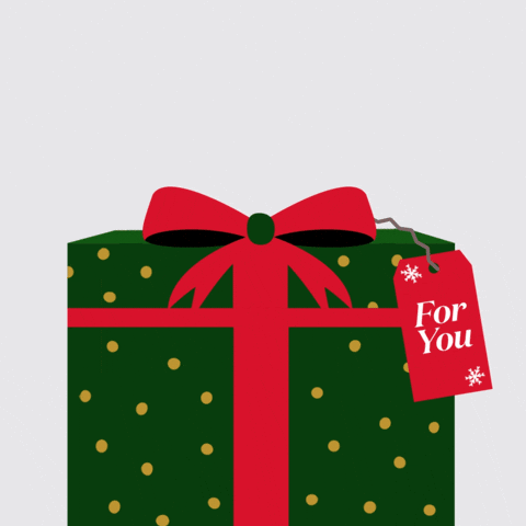 Happy Birthday Christmas GIF by Jessica Lau