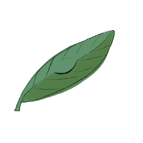 Nature Sticker