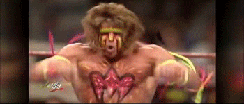 ultimate warrior