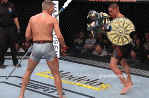 Dark Souls Ufc GIF