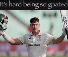 Cricket Australia GIF
