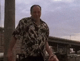 Tony Soprano Wednesday GIF