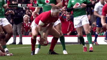 celebrate hadleigh parkes GIF by Guinness Six Nations