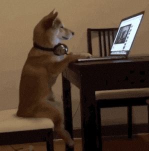 Doge GIFs - Find & Share on GIPHY