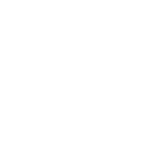 ACINA Sticker