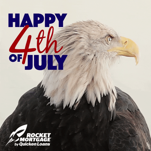 American Bald Eagle Rigged Animated 3d Model