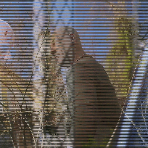 Bruce Findesemana GIF