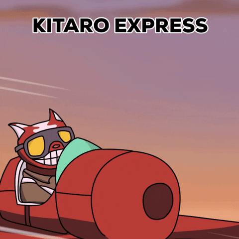 Cat GIF by Kitaro World