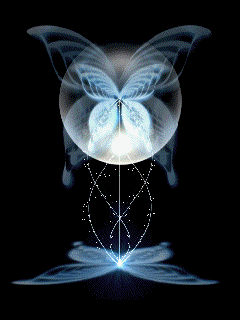 Butterfly GIF - Find & Share on GIPHY