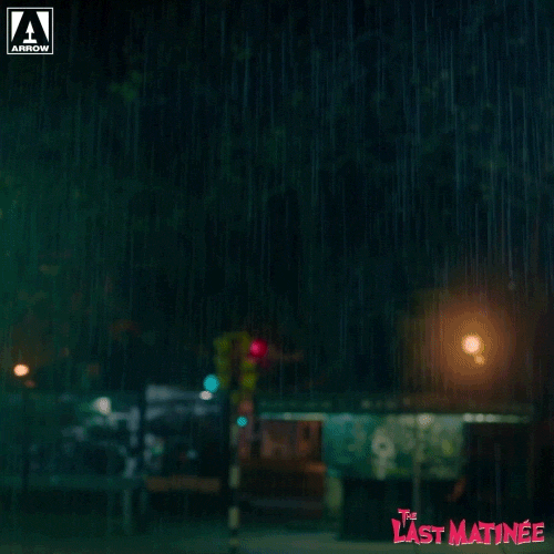 Rain Cinema GIF by Arrow Video