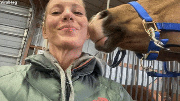 200.gif?cid=f0bdee70yjnfeljfl9sqirnrh0etn07883txus5o6ltapkoa&rid=200.gif&ct=g