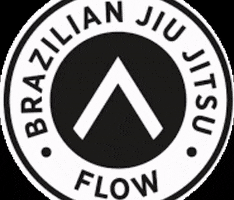 Flow63BJJ flow fighter bjj martial arts GIF