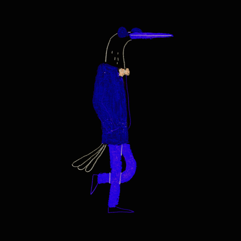 animation bird GIF