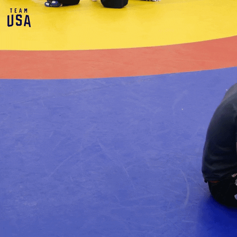 Roll Over World Championships GIF by Team USA