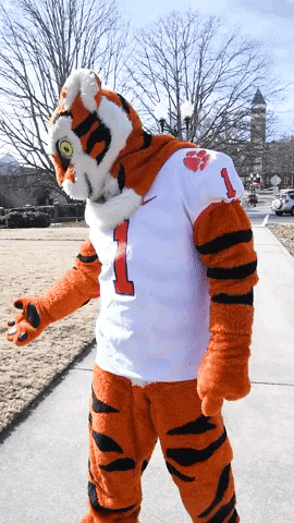 groundhogs day GIF by Clemson University