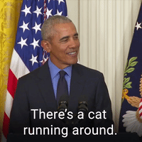 Funny-barack-obama GIFs - Get the best GIF on GIPHY Funny-barack-obama GIFs - Get the best GIF on GIPHY