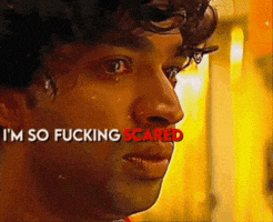 Reels GIF