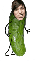 fall out boy pickle GIF