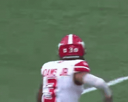 Celebration GIF