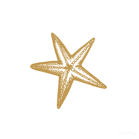 Ariza Sticker
