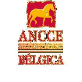 ANCCE-Bélgica Sticker