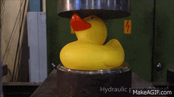 duck press GIF