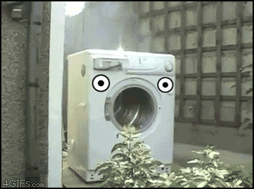 brick washing machine GIF