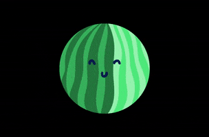 Style Watermelon GIF by Interior 03