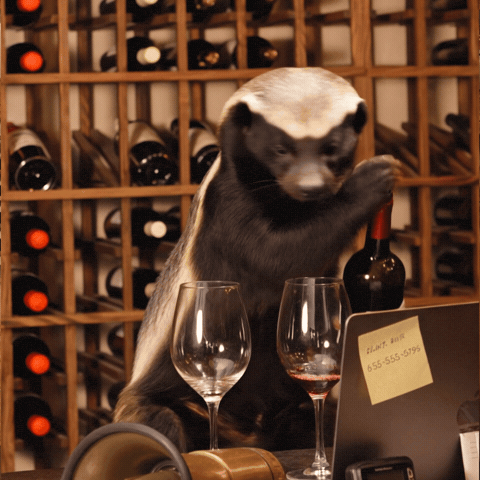 Honey Badger GIF by Smart Operator