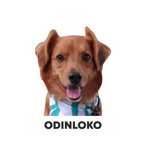 Csclkcrew Sticker by Cuscoloko