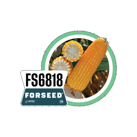 Forseedsementes Sticker by Longping High Tech