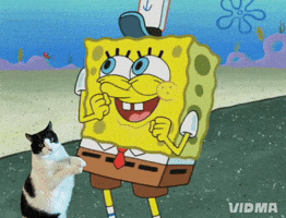 Spongebob Squarepants Cat GIF